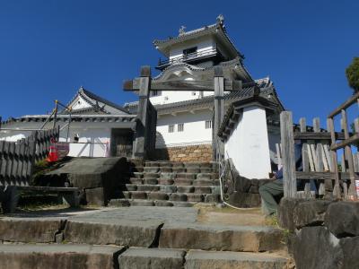 掛川城と浜松城に行ってみよう