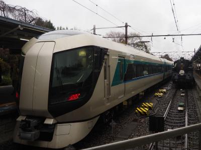 大雨模様だったけど東武特急リバティに乗って紅葉の日光へ