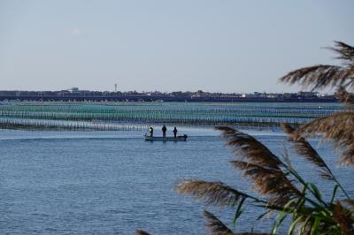 さわやかウォーキング 【浜名湖花博一足お先に 弁天島】 JR東海