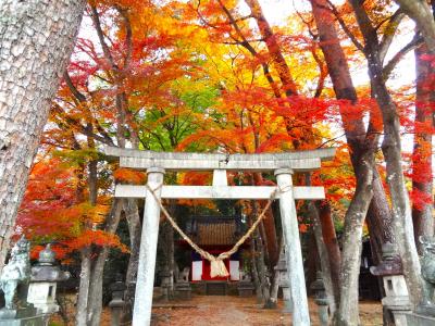 友人ワンコと紅葉探しに那須高原　コテージわん&#39;Sのお泊り　雪の那須岳も