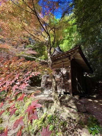 名残の紅葉狩りと、パンダ見物。　行道山浄因寺  葛飾北斎の世界｡｡｡  