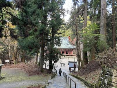 秋の比叡山、山頂トレッキング