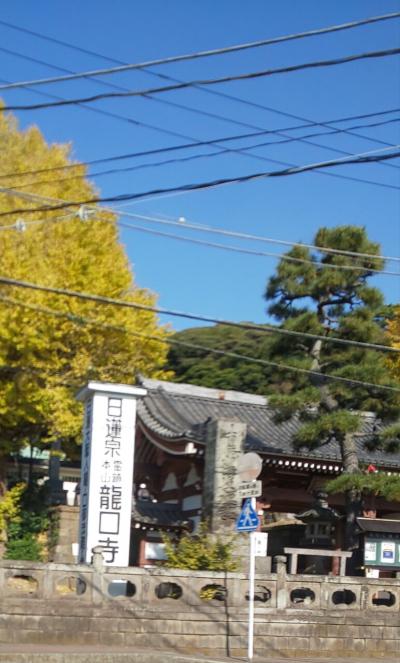 鎌倉と湘南と横浜市泉区。人気のポークステーキを食べに。