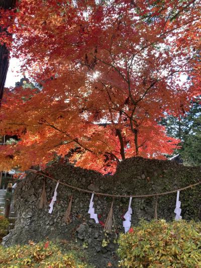 大人の休日クラブ　東日本パスで行く湯治