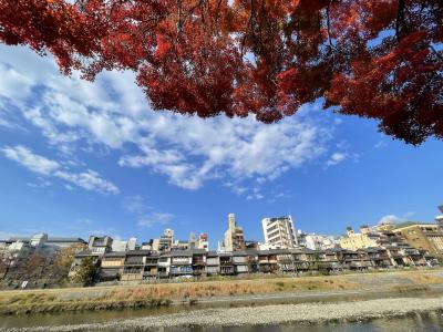 2023年晩秋、京都一人旅＋４トラの友が旅の友(*^-^*)前編、行ったところ。