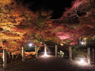 ぶらり京都府Ｊリーグ観戦の旅（東福寺と建仁寺と京都サンガVS横浜F・マリノスを観戦）