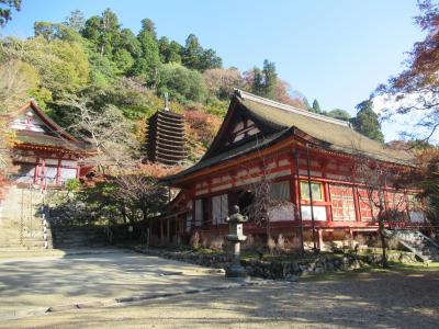 いにしえの都・奈良を巡る4泊5日の旅☆桜井の古社寺とならまち