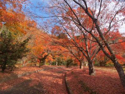 温泉と紅葉　その1　日置市伊集院町せせらぎの湯花水木の紅葉＆激渋太田鉱泉