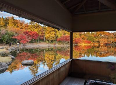 昭和記念公園で秋満喫