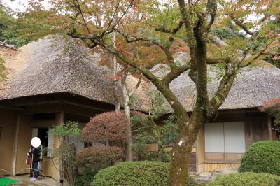 九州の紅葉スポット　耶馬渓から九年庵・環境芸術の森を巡る旅に行ってきました！　№３／３　３日目　九年庵・環境芸術の森