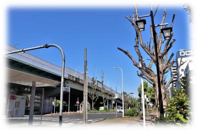 名駅付近の神社巡り　津島神社、洲崎神社、洲嵜秋葉神社、日出神社