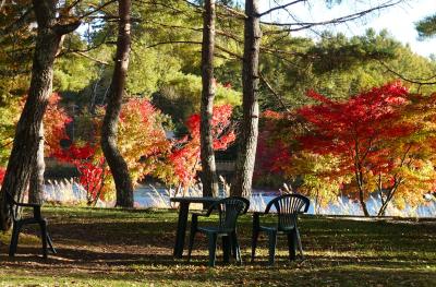 初・妹＆姪と３人旅♪紅葉真っ盛りの蓼科湖