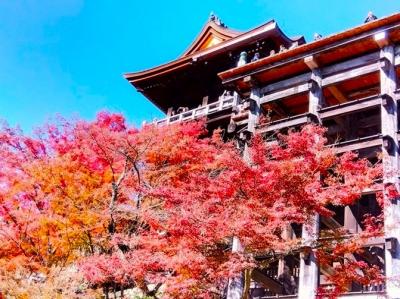 京都・清水寺を歩く！