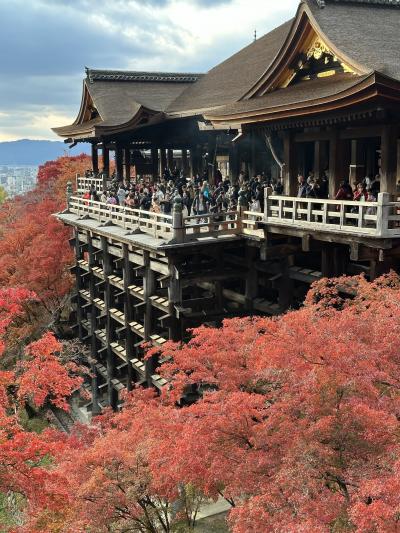 紅葉を見に京都へ　～東福寺・永観堂禅林寺・南禅寺・清水寺～