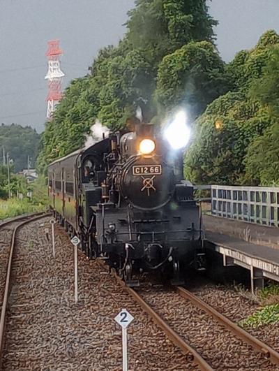 ときわ路パスで、ひたちなか海浜鉄道～JR水郡線～真岡鐡道～関東鉄道を周遊