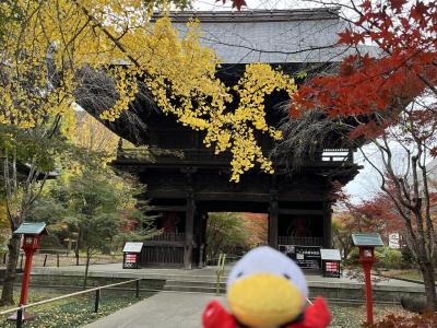 2023秋の東京の紅葉