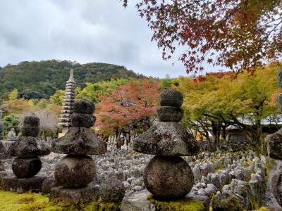 202311☆ちょっと早めの紅葉狩り神戸·京都☆姉妹旅