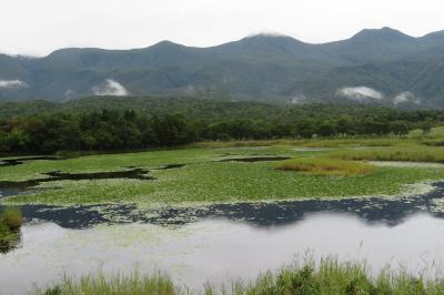 にっぽん丸の旅第二弾　5回目　羅臼、知床観光