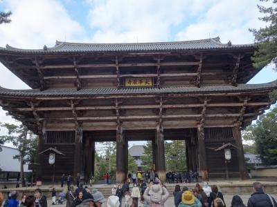奈良公園を散策。修学旅行生と外国人であふれていました。