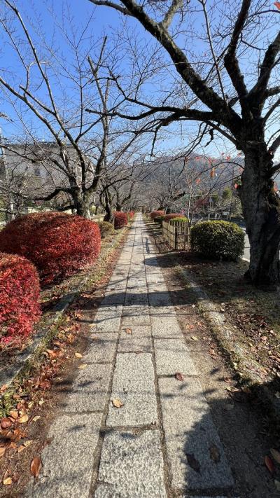 12月の京都をバスと地下鉄に乗って回ってみました。