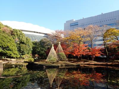 都立庭園で紅葉２本立て