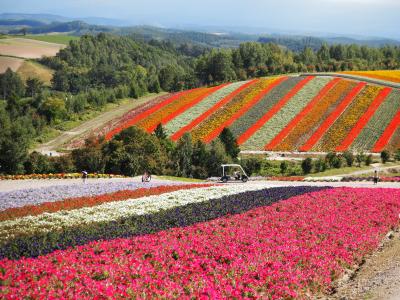 何度行っても良いよね☆北海道♪今年3度目も旭川・旭岳・美瑛・富良野ドライブ旅行＜3＞☆美瑛　洞爺湖編☆.｡.:*･