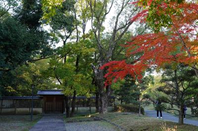 2023　藤田邸跡公園の紅葉散歩