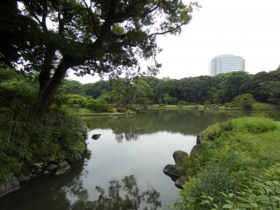 ジジババの原宿・巣鴨地蔵通りと六義園ぶらり旅