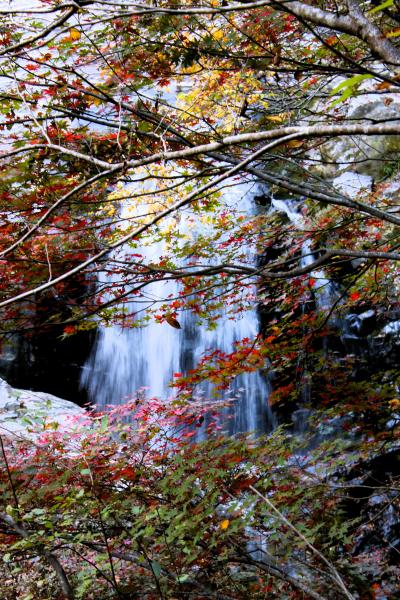 ’２３天川村の紅葉を求めて