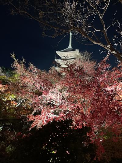 東寺のライトアップ　12／8まだ綺麗だった