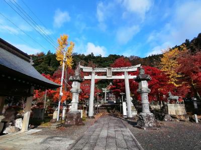 ’２３　滋賀湖北周辺紅葉旅９　木之本さんぽ（つるやパン～木之本地蔵尊～意冨布良神社）