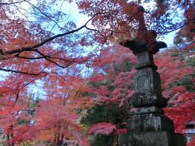 紅葉の犬山を歩く