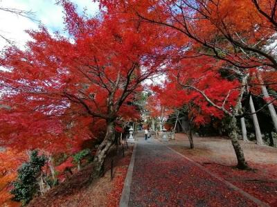 ’２３　滋賀湖北周辺紅葉旅１１　石道寺～鶏足寺～与志漏神社の紅葉