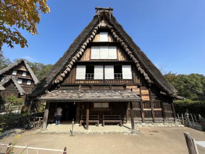 生田緑地：日本民家園内【白川郷】でお蕎麦をいただき、ばら苑を散策