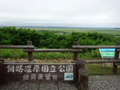 北海道フリーパスで細岡展望台観光