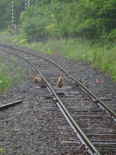 釧路湿原ノロッコ号で細岡駅訪問