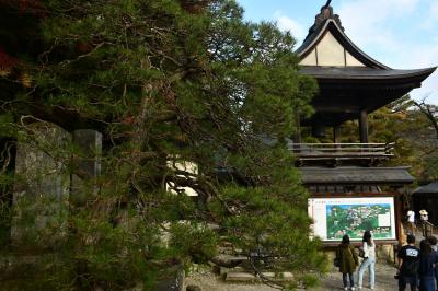 山寺という通称の立石寺さま