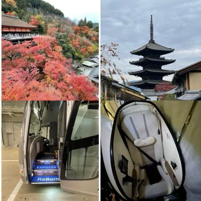 30年ぶりの京都に夜行バスで！朝から夜までてくてく①～早朝の清水寺から夜間特別拝観まで～