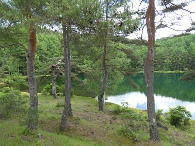 テラス蓼科3泊4日No1蓼科縄文遺跡と御射鹿池