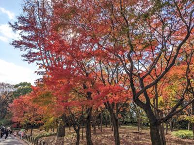皇居乾門通り抜け2023