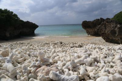 2023年11月　思いがけず寒かった石垣島２泊３日その３　波照間島後編　午後は浜シタン群落やムラピナの浜、下田原城跡にも足を延ばしました