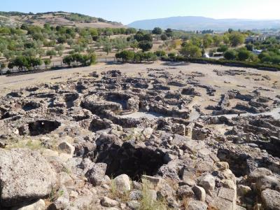 サルデーニャの村 Barminiで2泊 島唯一の世界遺産や羊の大群を見学