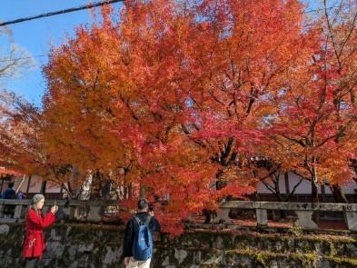 レンタサイクルで回る晩秋の京都