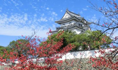 大阪府 岸和田市　岸和田城 界隈と 大威徳寺の紅葉