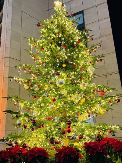 ひとりで東京大阪往復記　メルキュール京都編