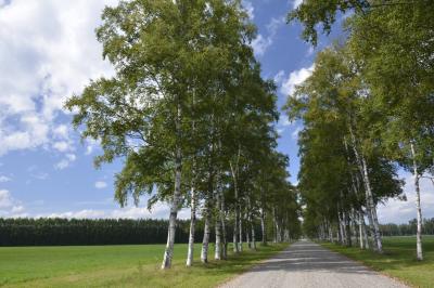 日本一早い紅葉を見に行くはずが・・・北海道・帯広（第８日目、最終日）