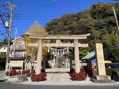 『三浦半島２DAYきっぷ』で、穴場の三浦半島をぐるっと周るお得旅!!