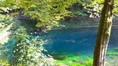 木組みの家を訪ねて ウルム編