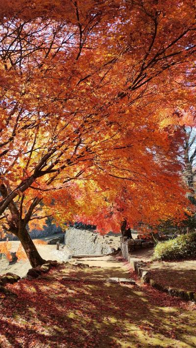 大分旅前編　豊後竹田は岡城の紅葉と「緒方三社川越し祭り（はだか祭り）」