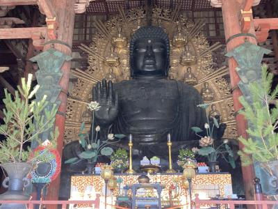 ☆2023.12 奈良世界遺産巡り☆東大寺と春日大社と興福寺にレッツゴー♪☆